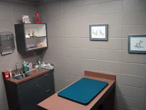 Veterinary exam room with table and sink