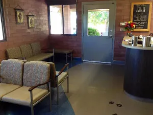 Waiting room lobby at Chappelle Small Animal Hospital