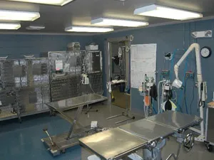 Treatment area with kennels and procedure tables